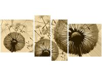 product-compare-58701686