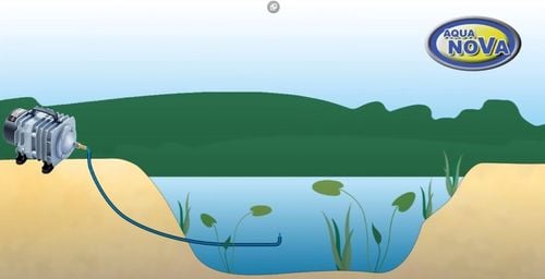 AN N-ACO-60 Napowietrzacz do oczka 3600L/H 32W na Arena.pl