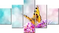 75CM 120 OBRAZ 5 ELEM MOTYL KWIATKACH ŚCIENNY DRUK