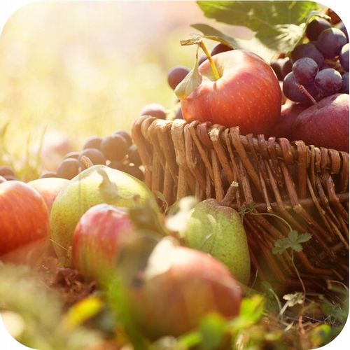 Nawóz uniwersalny do ogrodu 3kg AZOFOSKA granulowany OBFITE PLONY na Arena.pl