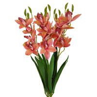 product-compare-61190437