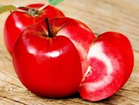 JABŁOŃ CZERWONY MIĄŻSZ ODPORNA NA CHOROBY I MRÓZ