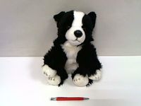 Pies Border Collie 30cm SmilyPlay 84404BD 34722