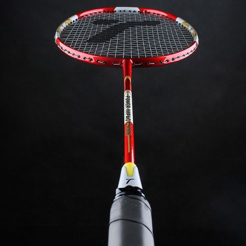 Rakieta Techman Grafit 5006 na Arena.pl