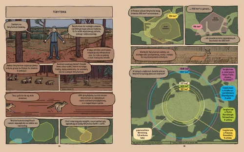 Wilki. Historie Prawdziwe na Arena.pl