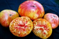 POMIDOR ANANASOWY SŁODKI STARA ODMIANA NASIONA