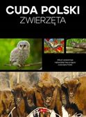 Cuda Polski Zwierzęta najbardziej fascynujące znane gatunki zwierząt album