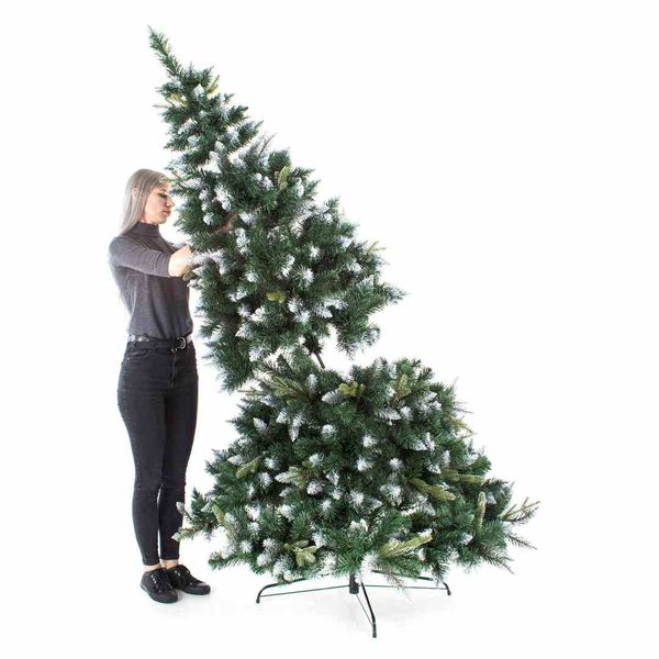 CS/AH/PINE/DIANA/250 zdjęcie 6