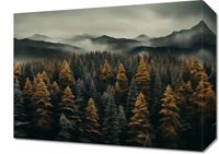 Obraz 40x30cm Mglisty Poranek