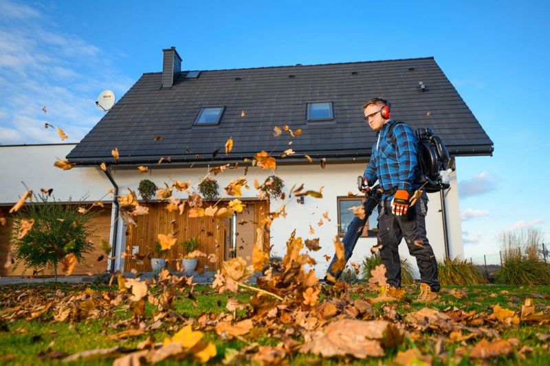 CEDRUS DM05 PRO PROFESJONALNY ODKURZACZ  DMUCHAWA SPALINOWA OGRODOWA DO LIŚCI - OFICJALNY DYSTRYBUTOR - AUTORYZOWANY DEALER CEDRUS zdjęcie 33