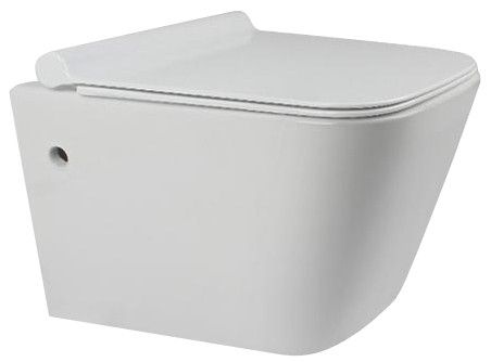Misa WC Ryan Model Deski - ABS/Slim/ZM na Arena.pl
