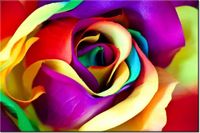 product-compare-58694605