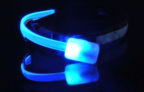 Obroża LED niebieska - M na Arena.pl