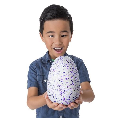 Hatchimals Jajko Smoczydło Ast. na Arena.pl