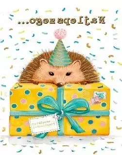 Karnet Mini B8 Jeżyk na Arena.pl