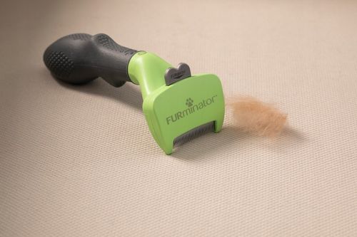 FURminator dla psów średnich sierść krótka M na Arena.pl