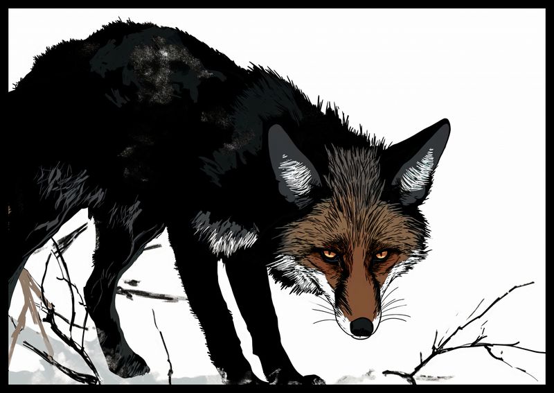 Plakat 66,5x46,5cm Nieufny Lis zdjęcie 2