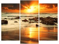 product-compare-58672935