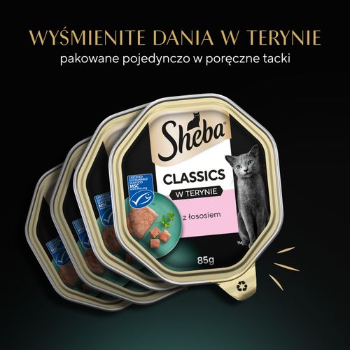 sheba® classics rybne smaki 32x85g na Arena.pl
