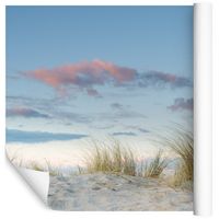 Fototapeta Piasek ROŚLINY Wydmy Natura do Jadalni 360x240