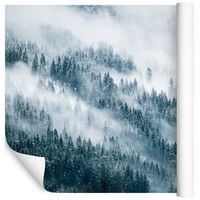 Fototapeta Las we Mgle Śnieg ZIMA do Salonu 270x180