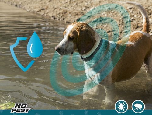 OBROŻA 75CM PRZECIW PCHŁOM KLESZCZOM PASOŻYTOM ROBAKOM DLA PSÓW NO na Arena.pl