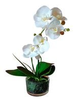 Storczyk sztuczny silikonowy w szklanej doniczce orchidea