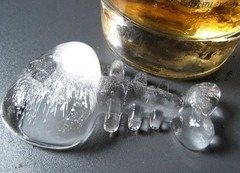 Foremka lodowa - RYBKI na Arena.pl