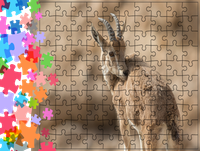 Puzzle tradycyjne Zwierzęta - Kozica