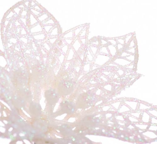 Poisencja ażurowa ecri na Arena.pl