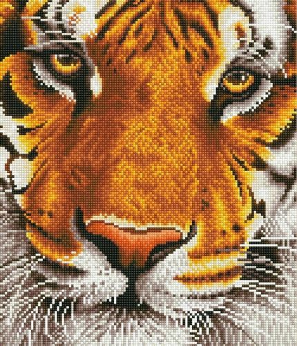 diamond dotz adults bengal magic 9407 na Arena.pl