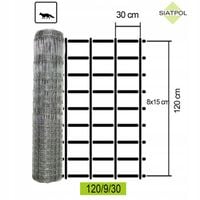 Siatka Ogrodzeniowa Leśna L 120/9/30 + skoble 50 m