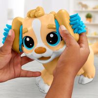 PLAY-DOH Ciastolina Wizyta u weterynarza F3639