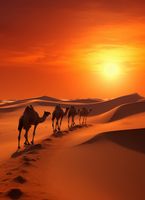 Plakat 40x55cm Karawana na Pustyni
