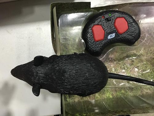 Wildroid Mysz na Arena.pl