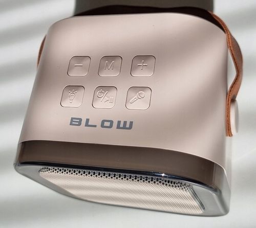 Bezprzewodowy GŁOŚNIK Bluetooth, 2 Mikrofony + POLSKIE Karaoke dla Dzieci na Arena.pl