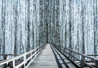 FOTOTAPETA FLI tunel widok most tunel 3D na wymiar