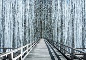 FOTOTAPETA FLI tunel widok most tunel 3D na wymiar