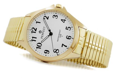 Zegarek Męski Perfect A4012-D na Arena.pl