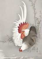 Plakat 25x35cm Rooster and Chicken, Koson Japoński Vintage do Salonu