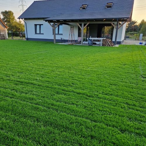 Trawa UNIWERSALNA nasiona trawy SAMOZAGĘSZCZAJĄCA odporna na DEPTANIE 25kg na Arena.pl