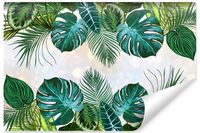 Fototapeta Zielone LIŚCIE Tropikalne Abstrakcja Rośliny 400cm x 280cm