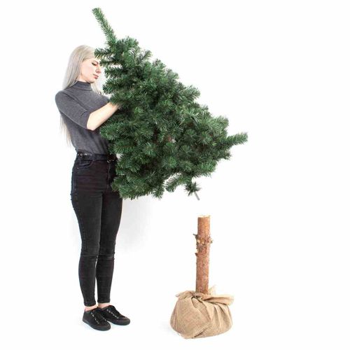 CS/JODLA/CECILIA/PIEN/1,8 na Arena.pl