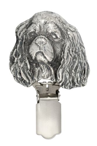 Cavalier King Charles Spaniel - klips - 2558 na Arena.pl