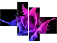 100 70CM OBRAZ 4 ELEM RÓŻA FARB JAKUB BANAŚ DRUK PŁÓTNO RAMA