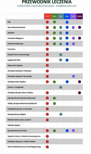 CBD 6% OLEJEK KONOPNY DLA ZWIERZĄT FULL SPECTRUM na Arena.pl