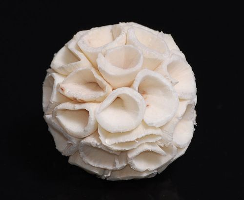 Kula shola Grape 4cm na Arena.pl