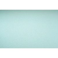 ND39_271807 KARTON OZD A4 BLE 220G GAL PAP MILLEN