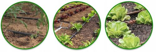 LINIA KROPLUJĄCA z kompensacją NAWADNIANIE 50m + 56 elementów Wąż pocący na Arena.pl