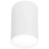 Sufitowa LAMPA metalowa POINT PLEXI L 6528 Nowodvorski downlight OPRAWA tuba biała